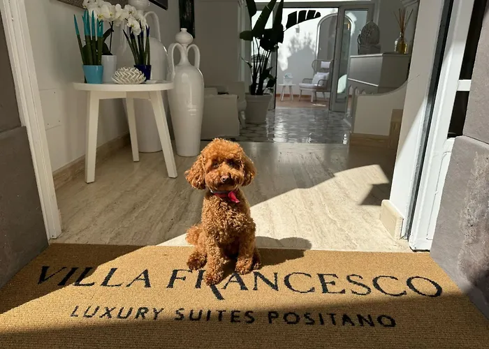 Affittacamere Francesco Luxury 4*